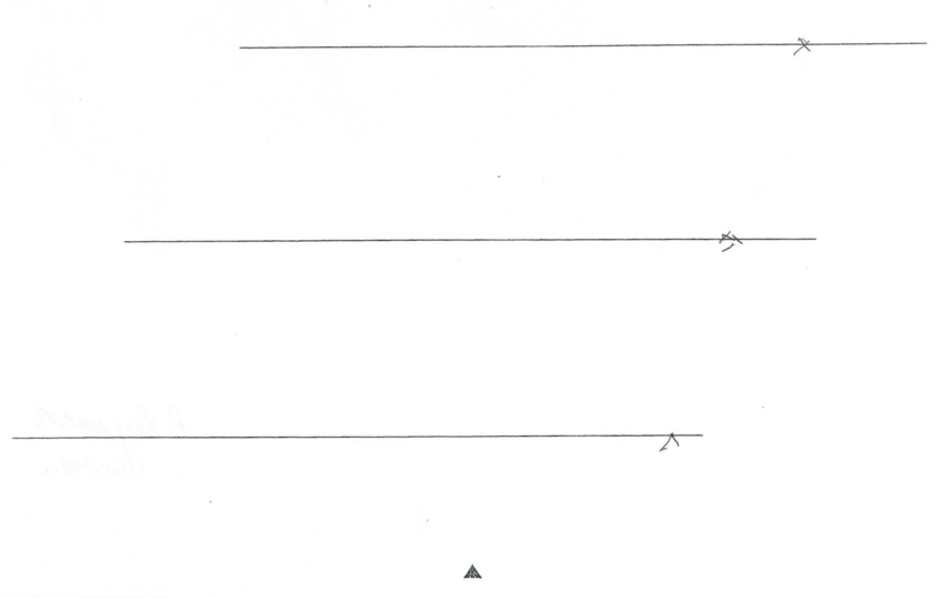 Figure 2. Example of line bisection test of a patient