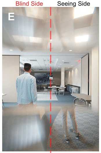 Visualizzazione fotografica dell'effetto di un prisma di Peli sulla visione di un soggetto con emianopsia sinistra.