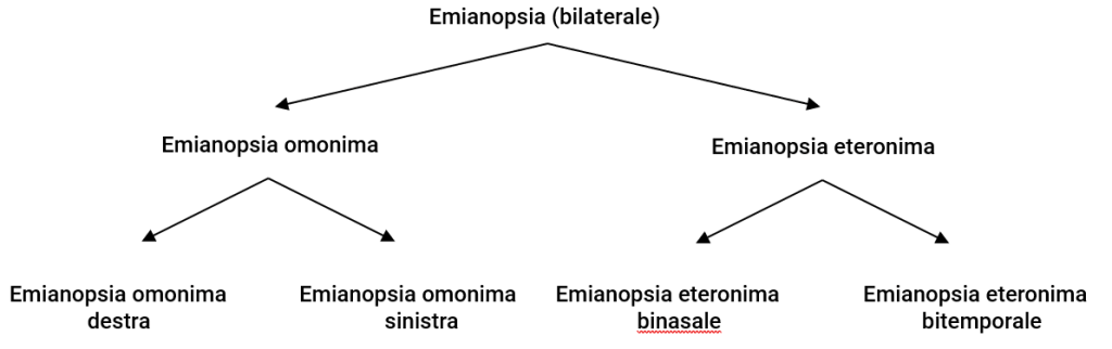 Figura 5 - Tipologie di emianopsie