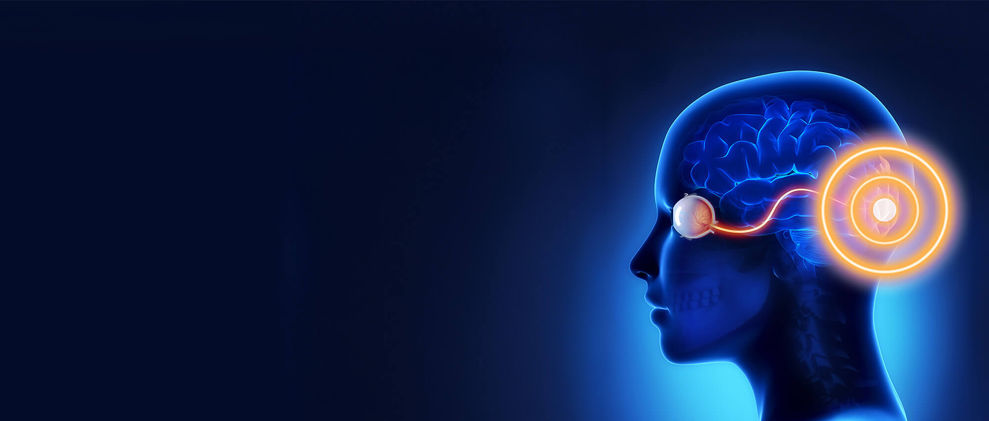 Ictus: cosa accade alla tua vista?